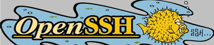 OpenSSH 7.2将支持 SHA-256/512 的 RSA 签名