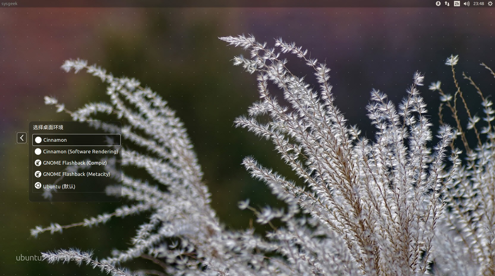 Ubuntu 16.04-Cinnamon02