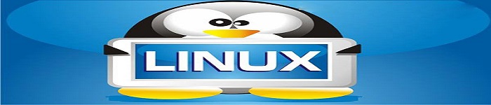 《LINUX 网站建设技术指南》pdf版电子书免费下载