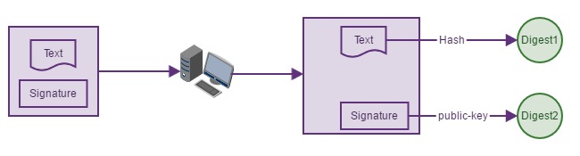 HTTPS 中的加密算法相关概念