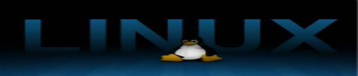 Linux 基金会在华建立分支机构