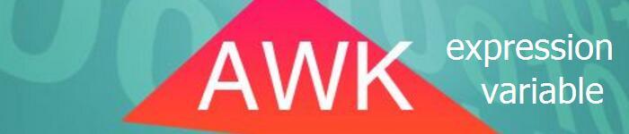 awk 变量、数值表达式以及赋值运算符如何使用