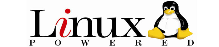 20条Linux命令面试问答实例