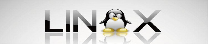 大神教你如何在 Linux 中移除符号链接