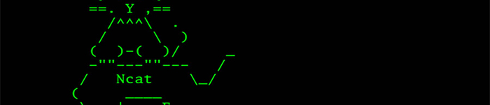 ncat 几个常用例子