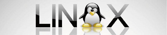 Slack现可用Snap在多种Linux发行版安装使用