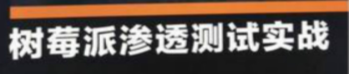 《树莓派渗透测试实战》pdf电子书免费下载