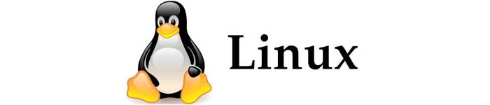 如何查看 Linux 当前缓存了哪些大文件？