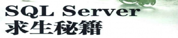 《SQL Server求生秘籍》pdf电子书免费下载