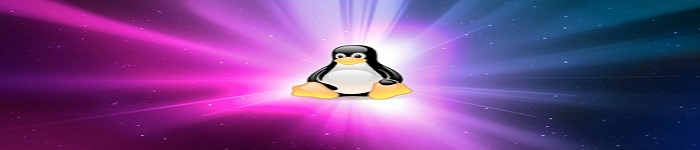 Linux之父Linus Torvalds又双叒叕回来了！