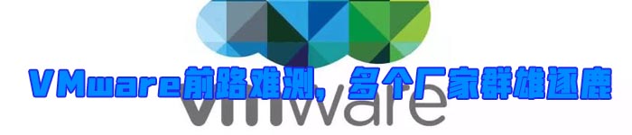 VMware前路难测，多个厂家群雄逐鹿