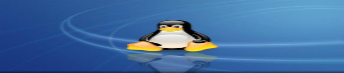 &&、()、||决定Linux命令的执行顺序