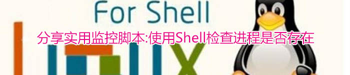 分享实用监控脚本:使用Shell检查进程是否存在