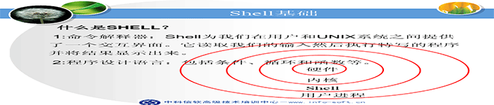 Shell case语句