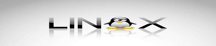 Linux 基金董事会： Linux 内核的贡献方式是时候改变了