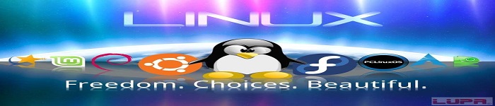 Linux与开源发展迅猛