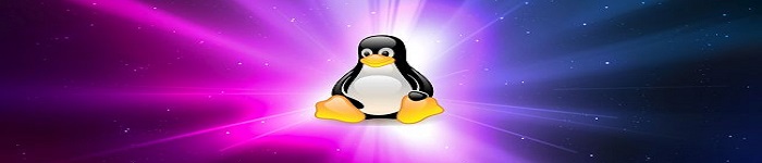 大规模 Windows 勒索软件移植至 Linux，Linux还安全吗？