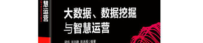 《大数据、数据挖掘与智慧运营》pdf版电子书免费下载