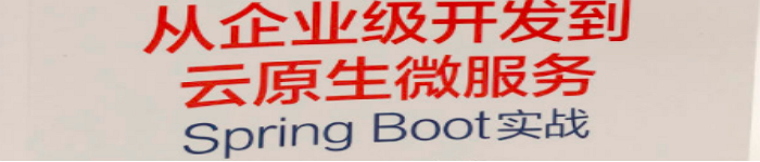 《从企业级开发到云原生微服务:Spring Boot实战》pdf电子书免费下载