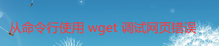 从命令行使用 wget 调试网页错误