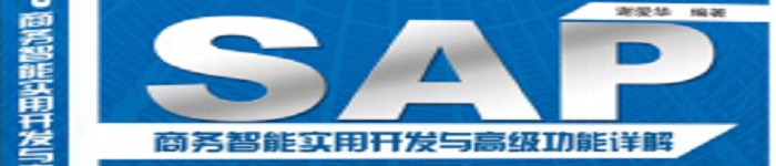 《SAP商务智能实用开发与高级功能详解》pdf电子书免费下载