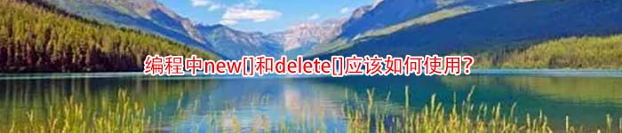 编程中new[]和delete[]应该如何使用？