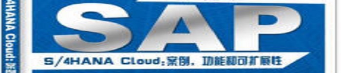 《SAP S/4 HANA Cloud:案例 功能和可扩展性》pdf电子书免费下载