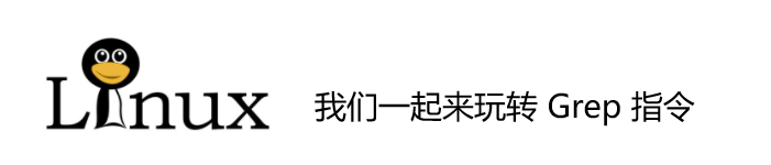 我们一起来玩转 Grep 指令