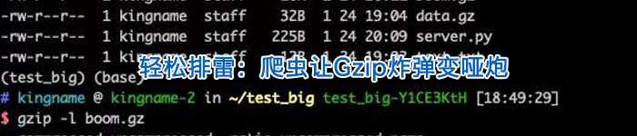 轻松排雷：爬虫让Gzip炸弹变哑炮