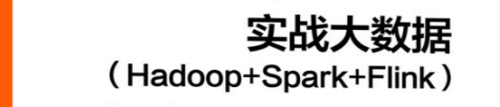 《实战大数据（Hadoop+Spark+Flink）从平台构建到交互式数据分析》pdf电子书免费下载