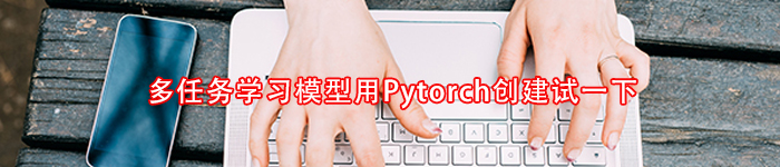 多任务学习模型用Pytorch创建试一下