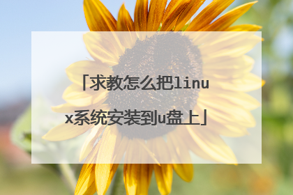 求教怎么把linux系统安装到u盘上