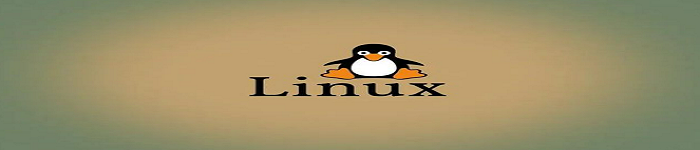 Win10/11后：Linux启动AMD处理器fTPM出现同款间歇性卡顿