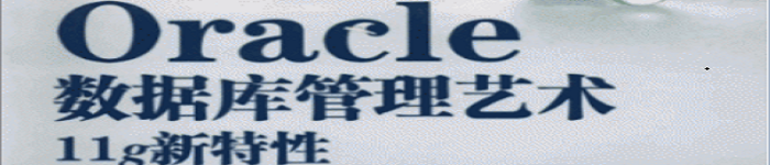 《Oracle数据库管理艺术》pdf电子书免费下载