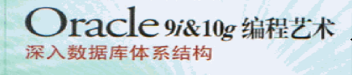 《Oracle 9i&10g编程艺术》pdf电子书免费下载