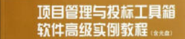 《项目管理与投标工具箱软件高级实例教程》pdf电子书免费下载