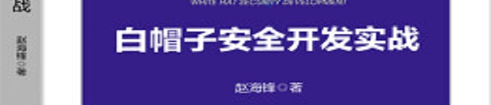 《白帽子安全开发实战》pdf电子书免费下载