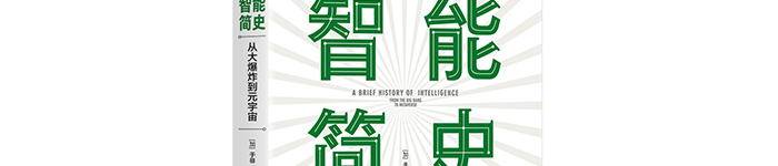 《智能简史——从大爆炸到元宇宙》pdf电子书免费下载