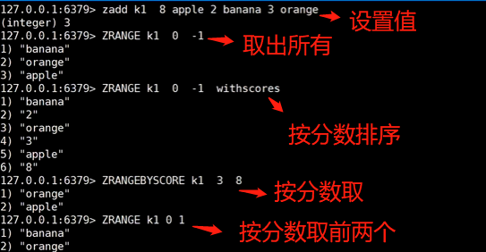 Linux排序命令：揭秘过人之处！