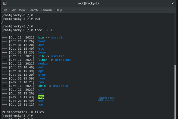 Linux文件系统结构的主要文件类型及主要目录类型分析