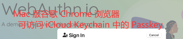 Mac 版谷歌 Chrome 浏览器可访问 iCloud Keychain 中的 Passkey