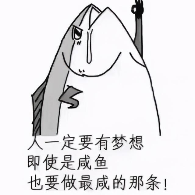 linux环境高级编程 做一条咸鱼，也要做最咸的那条