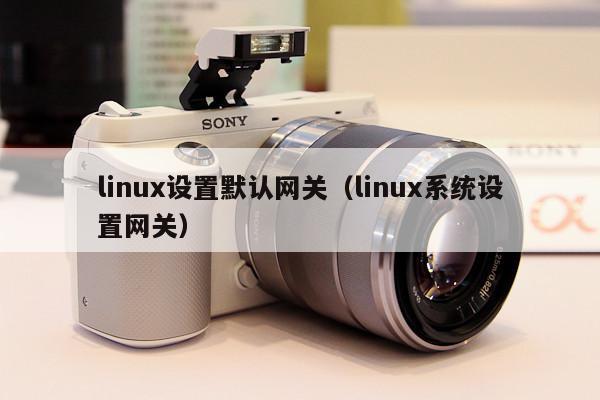 linux下如何设置默认网关ip地址dns地址浏览