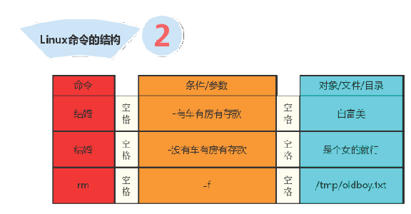 Linux系统默认的根目录结构和文件