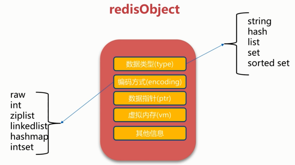 Linux 中的 od 命令：开启二进制领域的神秘之门