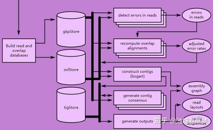 掌握 Linux 必备：老男孩 Linux 视频教程下载步骤与优势解析