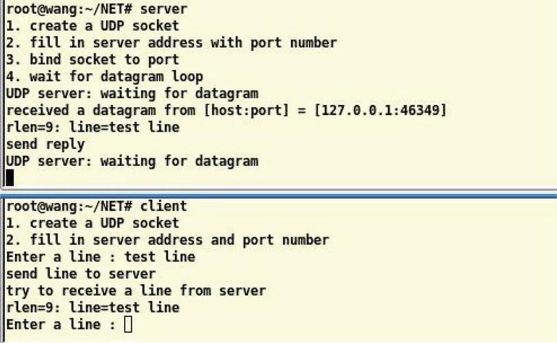 Linux网络编程：深入解析基于UDP的程序开发与核心API